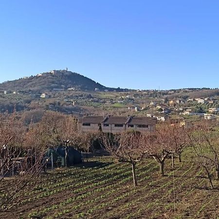 Natura Affittacamere Campobasso Buitenkant foto