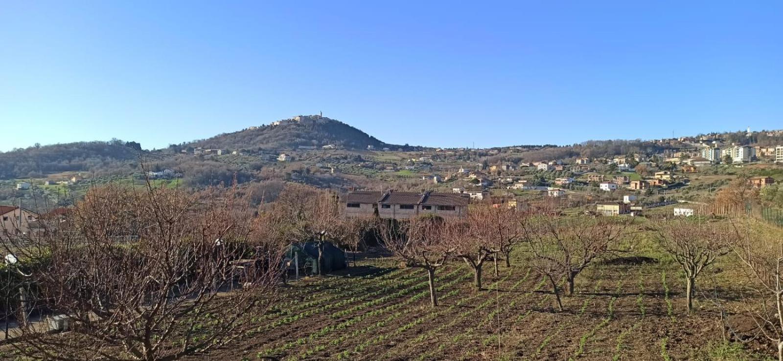 Natura Affittacamere Campobasso Buitenkant foto